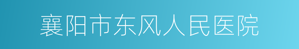 襄阳市东风人民医院的同义词