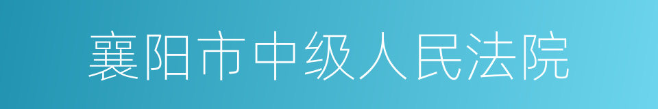 襄阳市中级人民法院的同义词