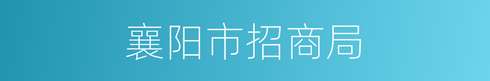 襄阳市招商局的同义词