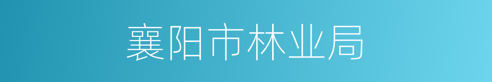 襄阳市林业局的同义词