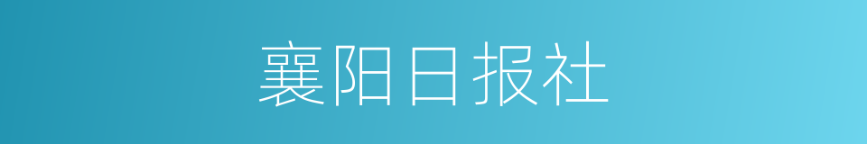 襄阳日报社的同义词