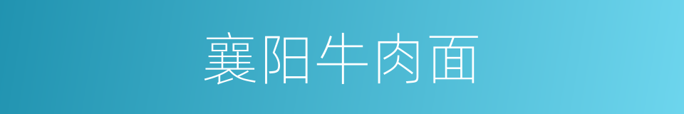 襄阳牛肉面的同义词
