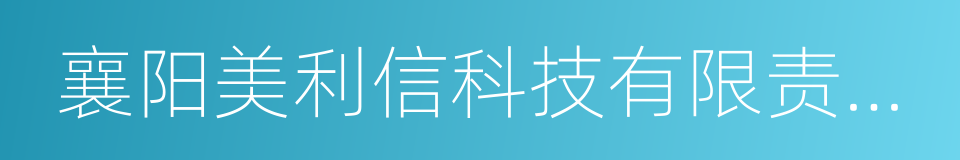 襄阳美利信科技有限责任公司的同义词