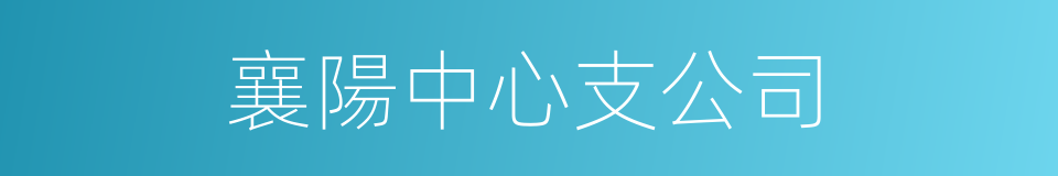 襄陽中心支公司的同義詞