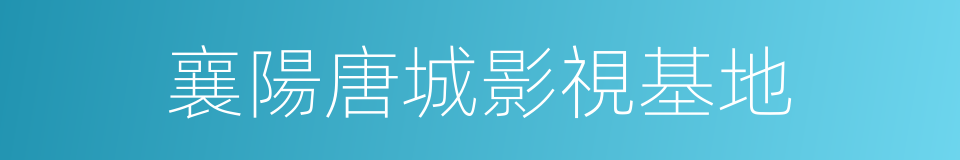 襄陽唐城影視基地的同義詞