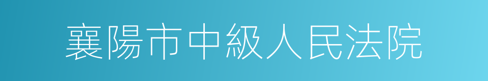 襄陽市中級人民法院的同義詞