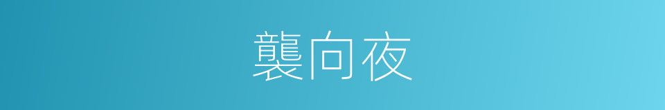 襲向夜的同義詞