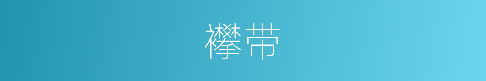 襻带的意思