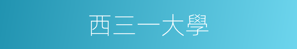 西三一大學的同義詞