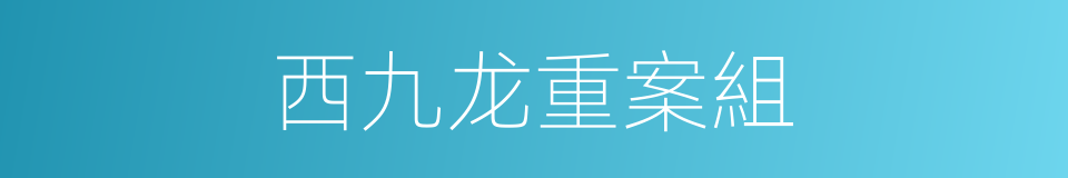 西九龙重案組的同義詞