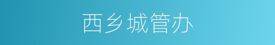 西乡城管办的同义词