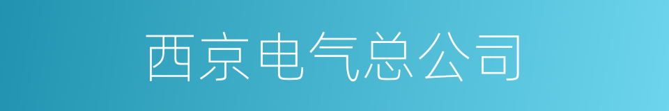 西京电气总公司的同义词