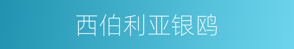 西伯利亚银鸥的同义词