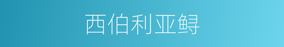 西伯利亚鲟的同义词