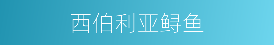 西伯利亚鲟鱼的同义词