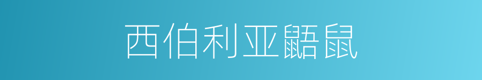 西伯利亚鼯鼠的同义词