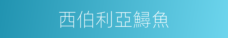西伯利亞鱘魚的同義詞