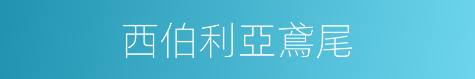 西伯利亞鳶尾的同義詞