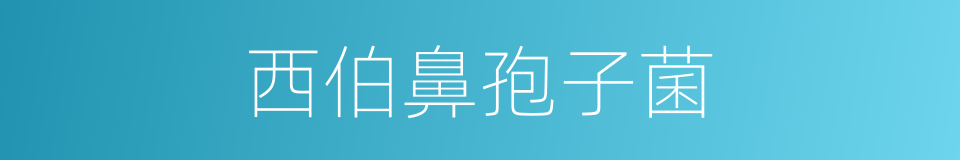 西伯鼻孢子菌的同义词