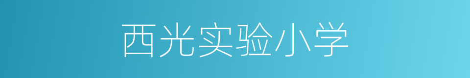 西光实验小学的同义词