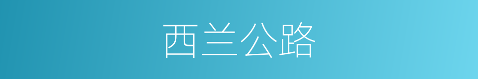 西兰公路的同义词