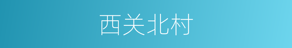 西关北村的同义词