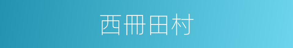 西冊田村的同義詞