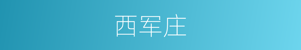 西军庄的同义词