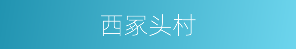 西冢头村的同义词