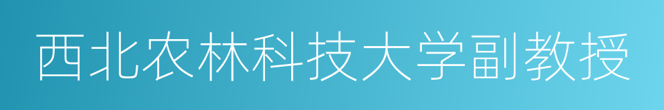 西北农林科技大学副教授的同义词