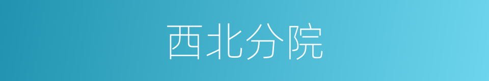 西北分院的同义词