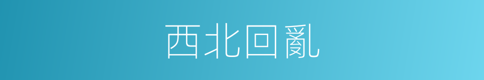 西北回亂的同義詞