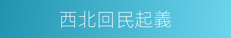 西北回民起義的同義詞