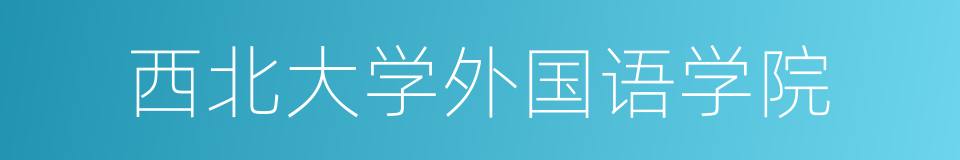 西北大学外国语学院的同义词