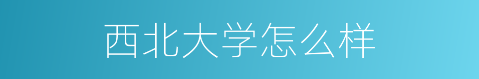 西北大学怎么样的同义词