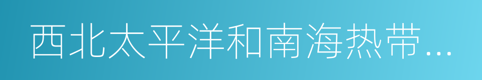 西北太平洋和南海热带气旋命名系统的同义词