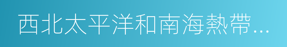 西北太平洋和南海熱帶氣旋命名系統的同義詞