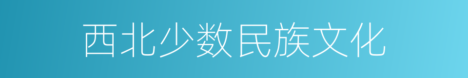 西北少数民族文化的同义词