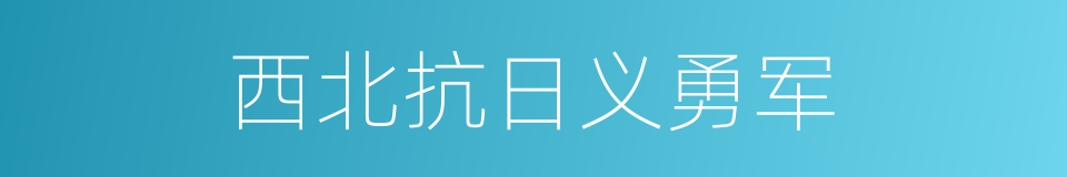 西北抗日义勇军的同义词