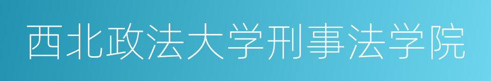 西北政法大学刑事法学院的同义词