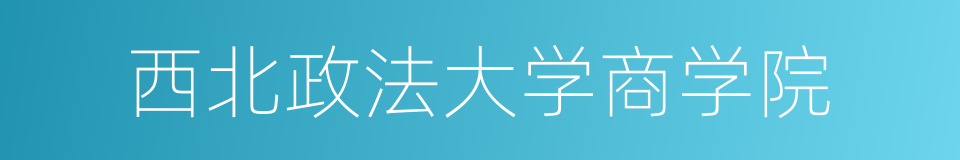 西北政法大学商学院的同义词