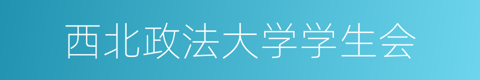 西北政法大学学生会的同义词