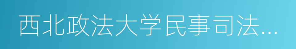 西北政法大学民事司法改革研究所的同义词