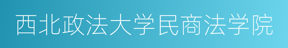 西北政法大学民商法学院的同义词