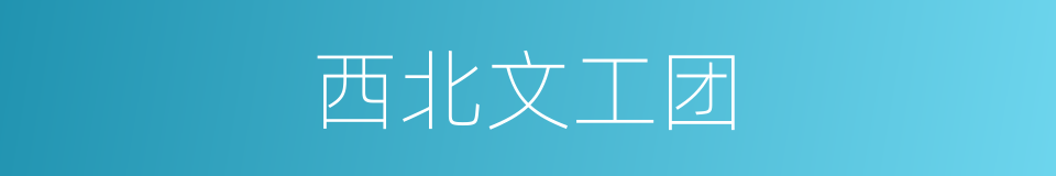 西北文工团的同义词