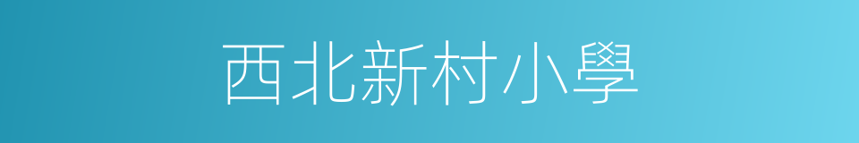 西北新村小學的同義詞