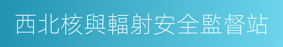 西北核與輻射安全監督站的同義詞