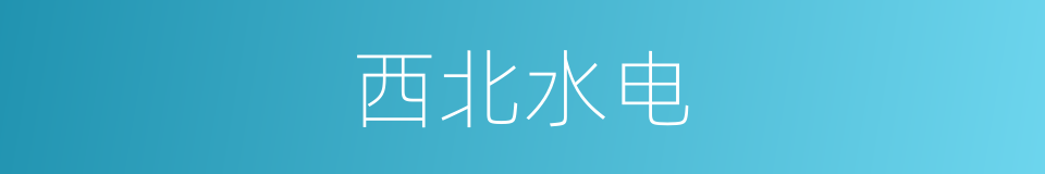 西北水电的同义词