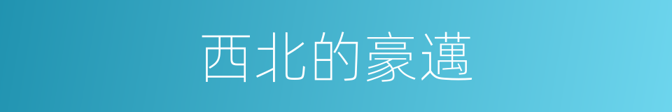 西北的豪邁的同義詞