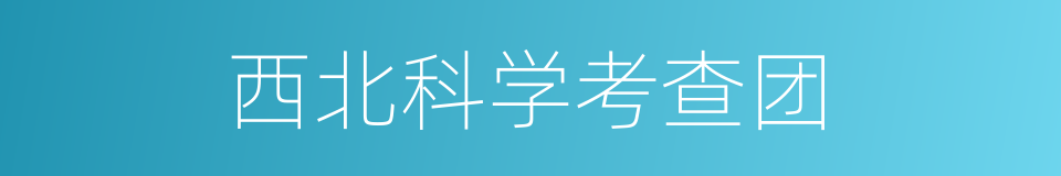 西北科学考查团的同义词